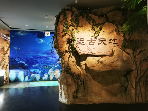 图片1