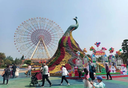 图片2
