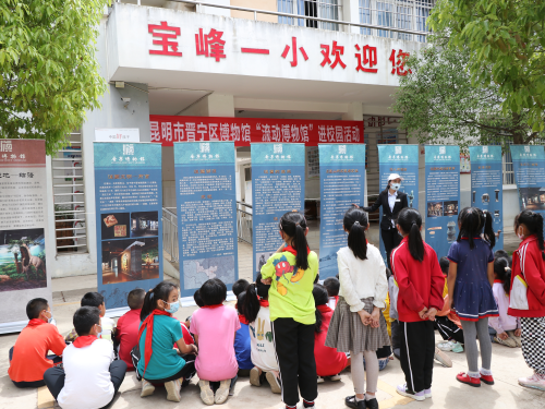 图片3