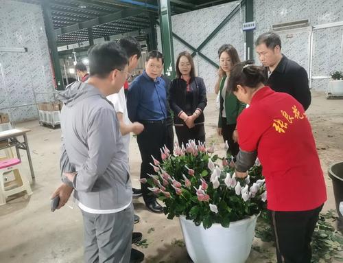 乡村振兴局——昆明市乡村振兴局局长到晋宁调研工作图片1（2022.05.11）