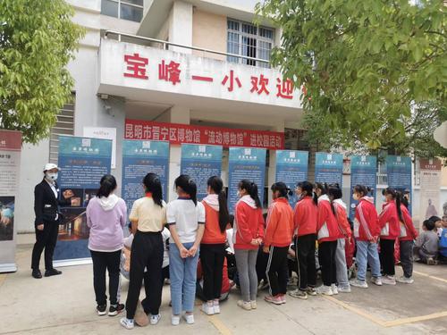“流动博物馆”进校园活动 (2)