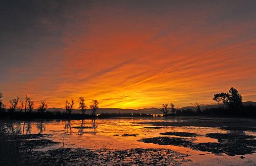 《大东河的早晨》李谷兰 拍：东大河 单位：昆阳磷矿13987692777