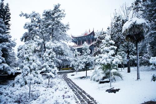 1-《大雪天郑和公园》张朝成13619636109拍摄时间.2013年12月13日地点.晋宁区郑和公园.图片说明.多少年来未见下雪。