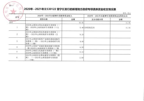 2020年 - 2021年末530122晋宁区发行的新增地方政府债券情况表4