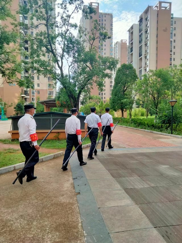 图片19