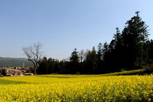 双河彝族乡核桃园 郑林--摄_2228 (64)
