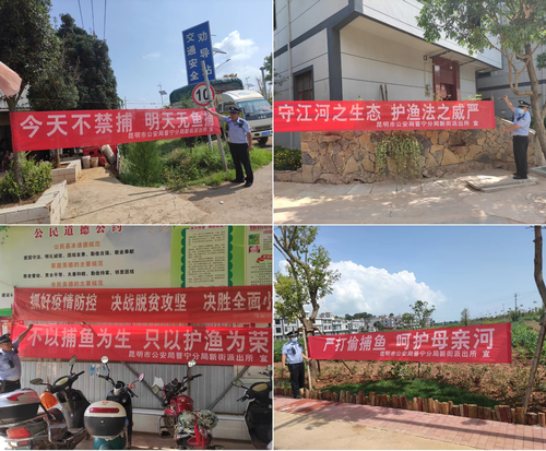 图片11