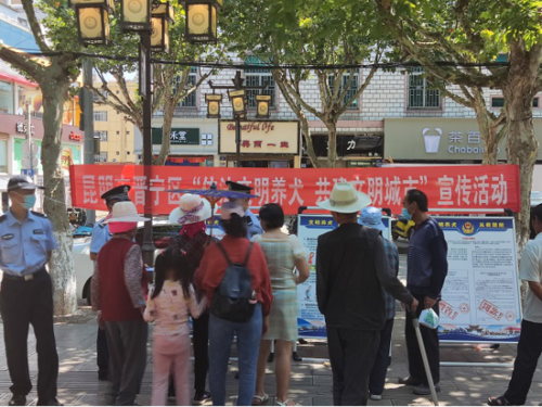 图片19