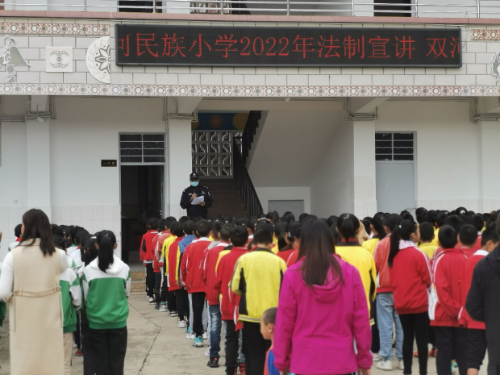 图片7