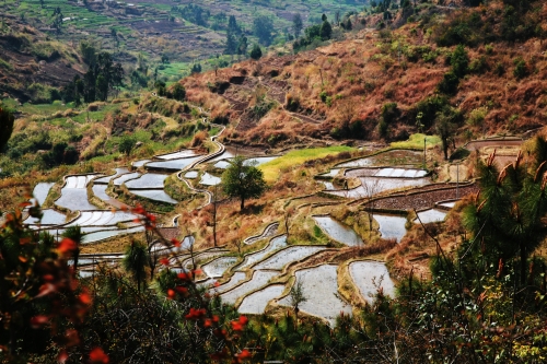 夕阳彝族乡梯田IMG_3769