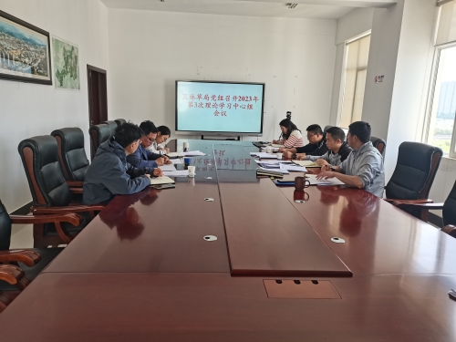 第三次理论学习中心组照片 (1)