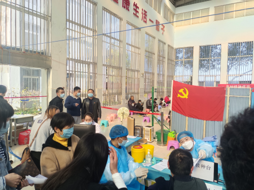 图片3