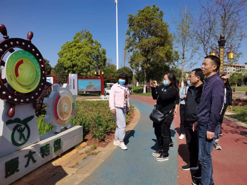 图片4