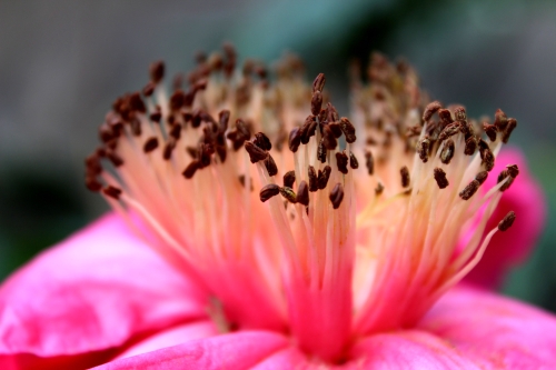 《心花怒放》
