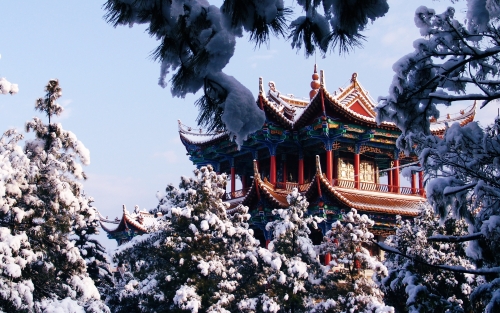 《冬》