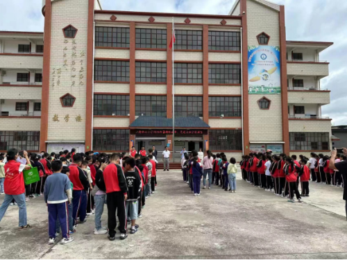 图片4