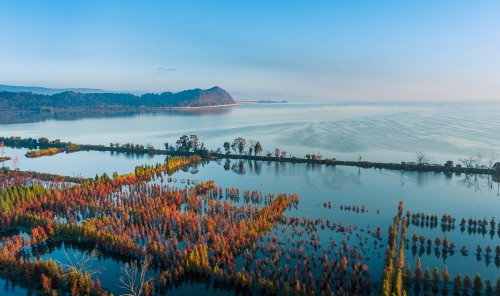 南滇池湿地公园 (1)