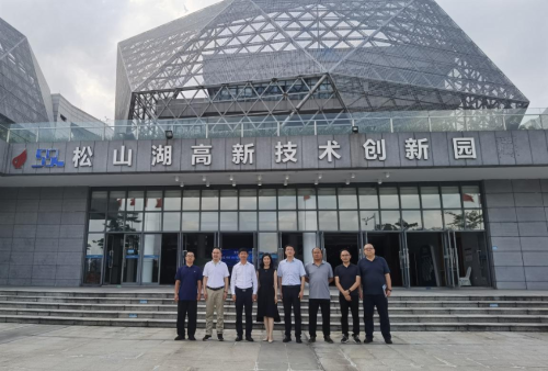 图片6