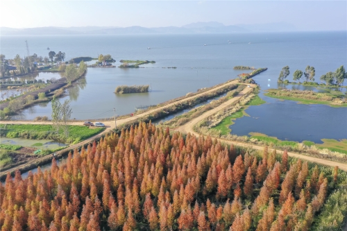 DJI_0181-