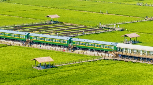 沙堤村的稻田 2023年8月摄