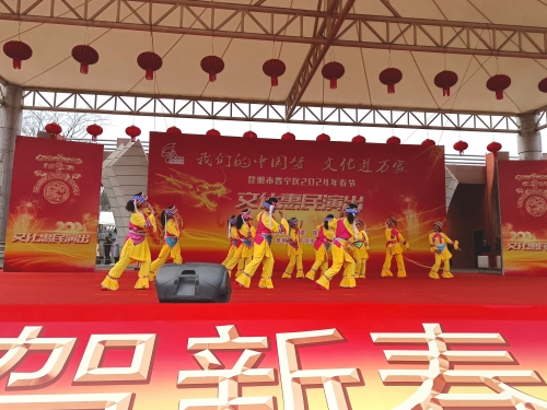 2024年“新春惠民演出”活动 (6)
