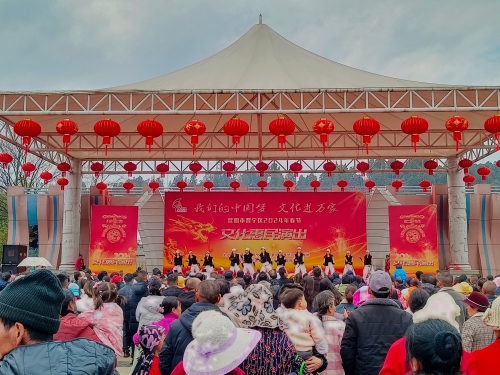 2024年“新春惠民演出”活动 (5)