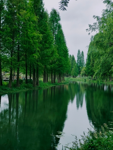 南滇池湿地公园（任红） (1)