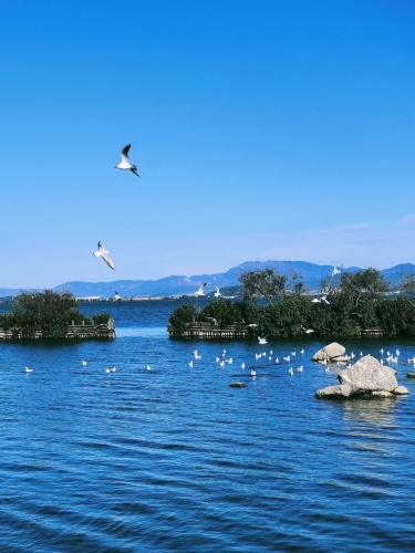南滇池湿地公园（任红） (2)
