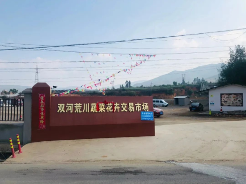 27、乡村振兴信息：小荚豆走入“大市场”，荒川村蔬菜花卉交易市场为乡村振兴添亮色图片4