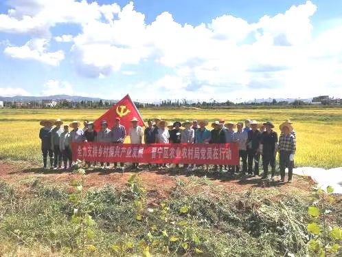 30、党建引领 谱写新时代“三农”工作新篇章图片1