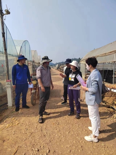 6、宝峰街道：打造“水清地绿”的美丽家园，绘就美丽乡村新蓝图图片2