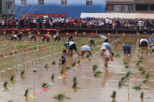 1112.webp