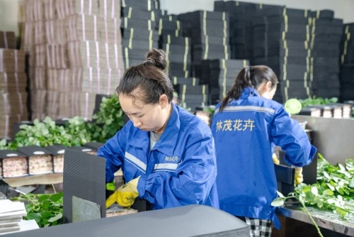 26、晋宁区听党话、感党恩、跟党走宣传教育活动—晋宁探索农民教育新模式图片2