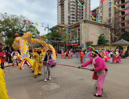 图片6