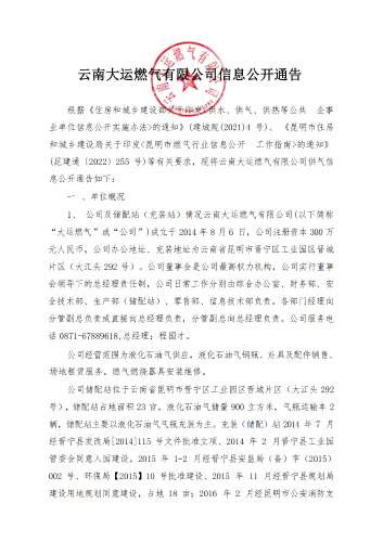 云南大运燃气有限公司（信息公示）(1)_00