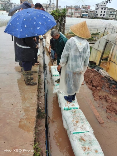 文河1