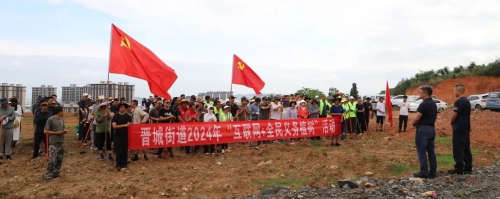 图片7
