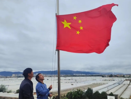 图片6
