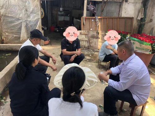 图片4