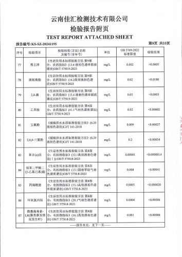 大场新塘净出厂水2024.10_10