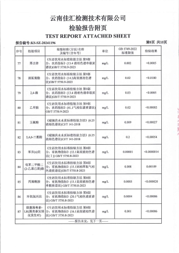 二街水厂出厂水 2024.10_10