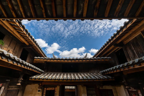 _DSC7913-已增强-降噪
