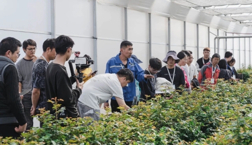 朱家花卉种植