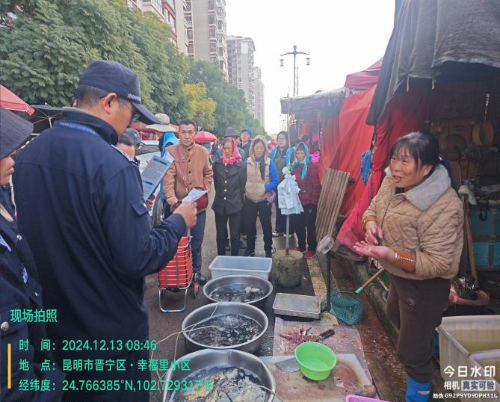 图片8