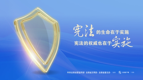 宪法的生命在于实施 宪法的权威也在于实施（横版）