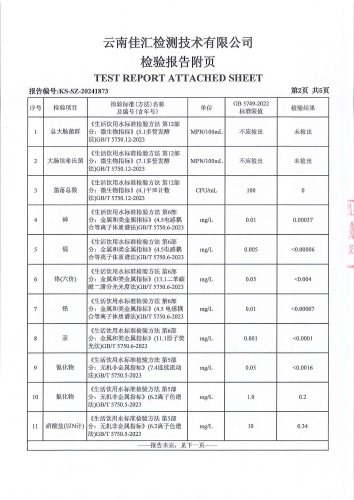 昆明市晋宁区二街镇人民政府 管网水 次氯酸钠消毒 38项）_03