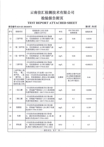昆明市晋宁区二街镇人民政府 管网水 次氯酸钠消毒 38项）_04