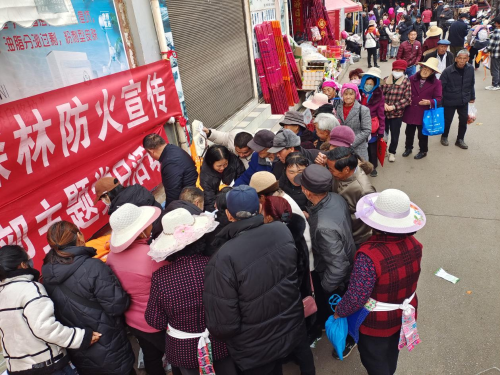 区林草局联合乡镇街道开展森林防火宣传 (2)