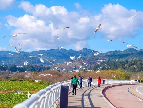 太史村2