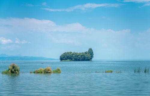 海埂村